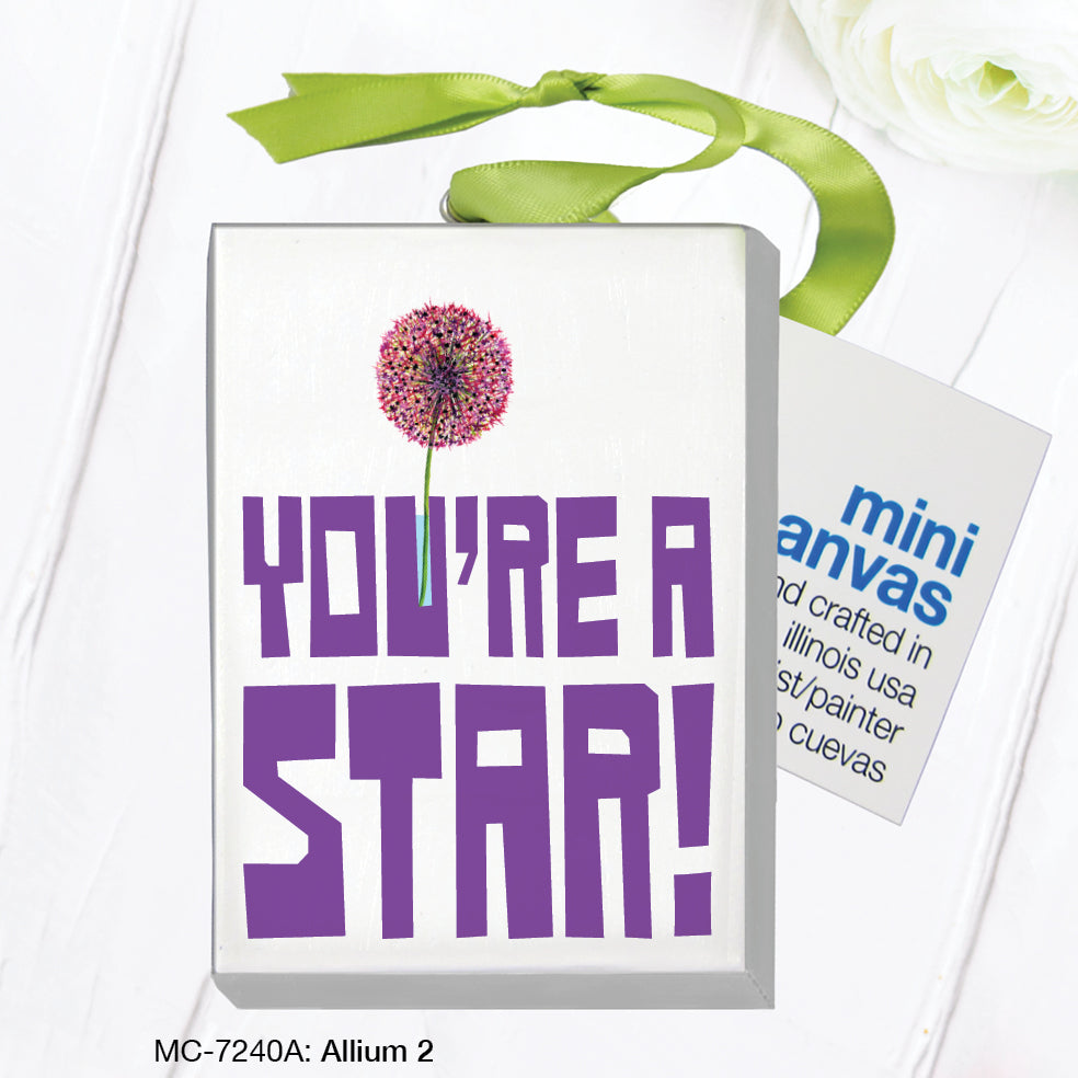 Allium 2, Mini Canvas (MC-7240A), Front, printedcanvas.com