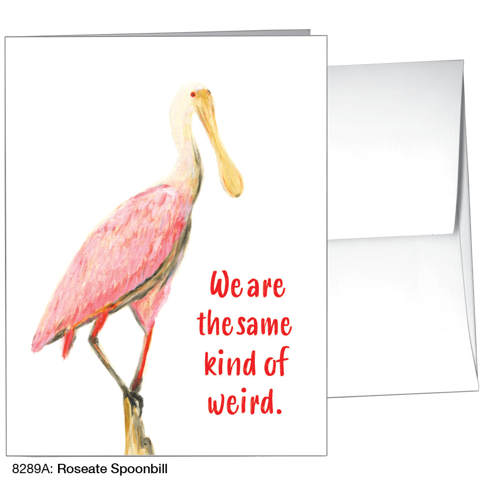 Roseate Spoonbill, Greeting Card (8289A), Front, www.printedcanvas.com