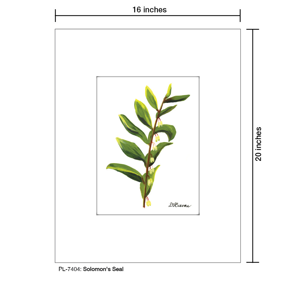 Solomon's Seal, Print (#7404A), Printe Matted, www.printedcanvas.com