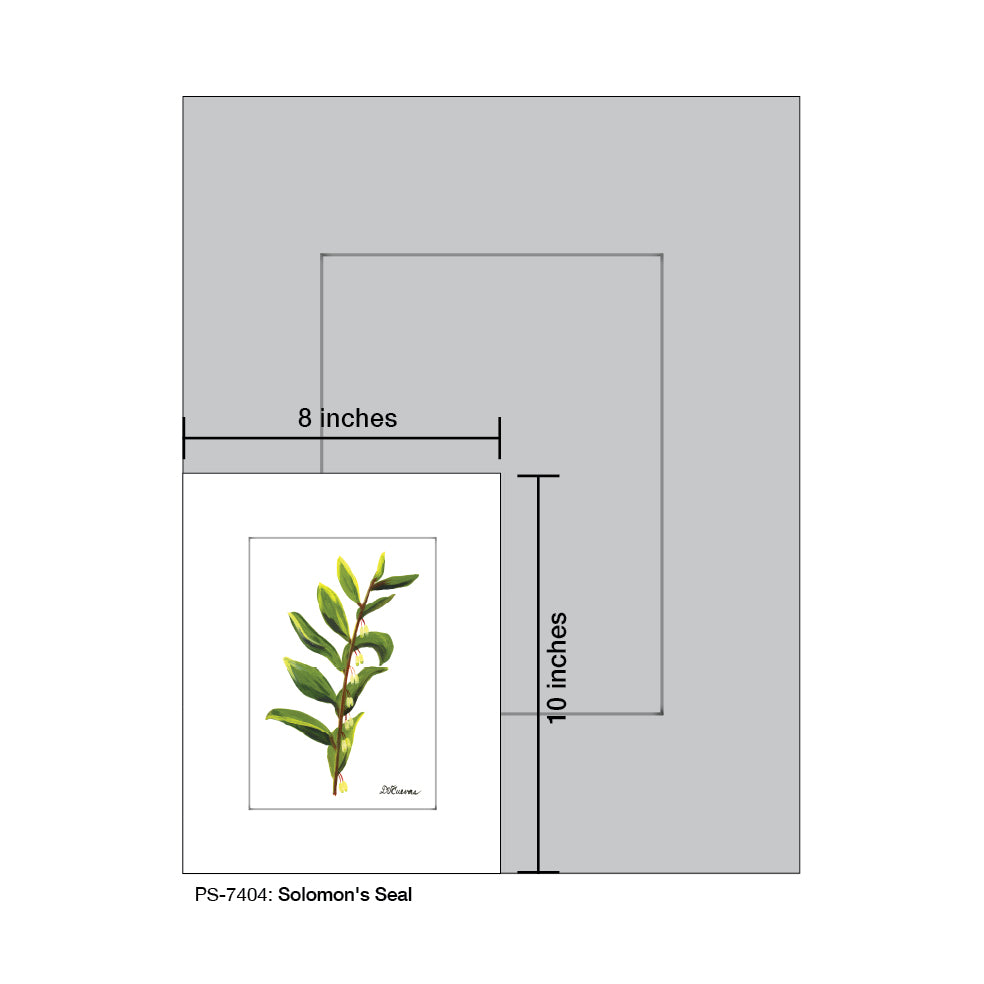 Solomon's Seal, Print (#7404A), Print Matted, www.printedcanvas.com