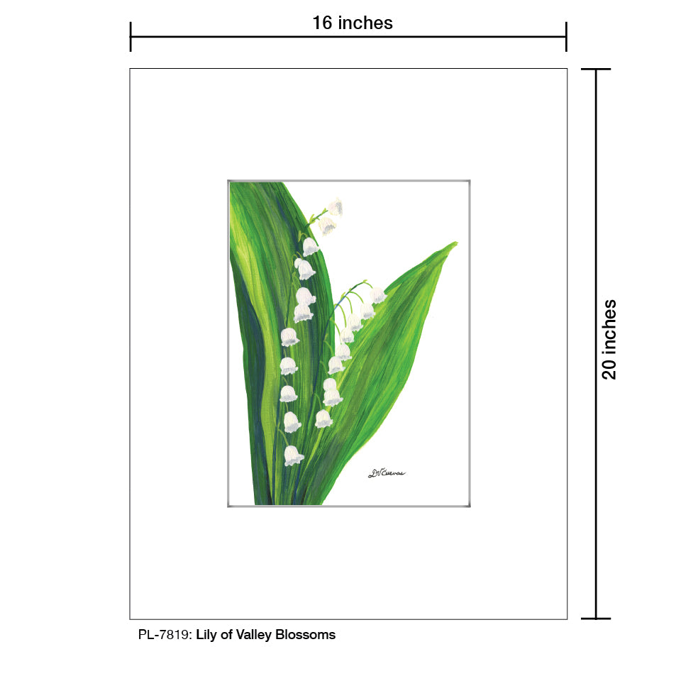 Lily of the Valley Blossoms, Print (#7819A), Printe Matted, www.printedcanvas.com