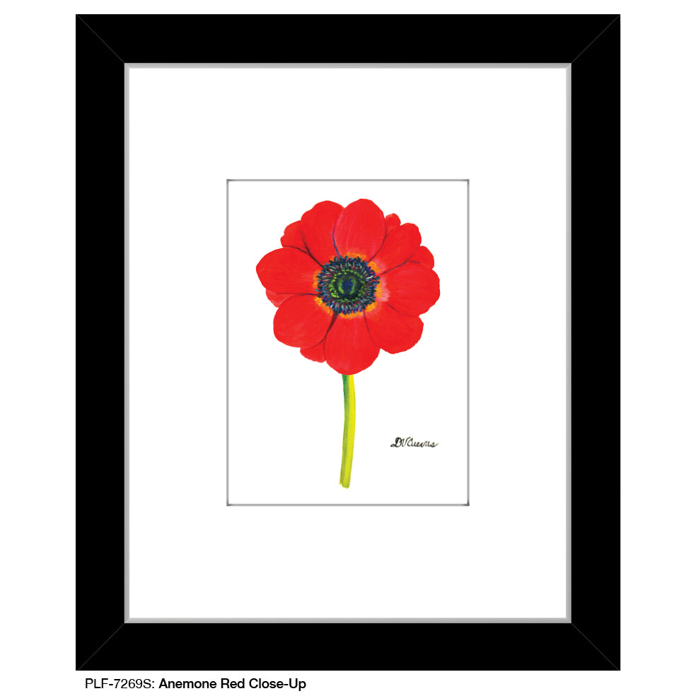 Anemone Red Close-Up, Print (#7269S) - Printed Canvas
