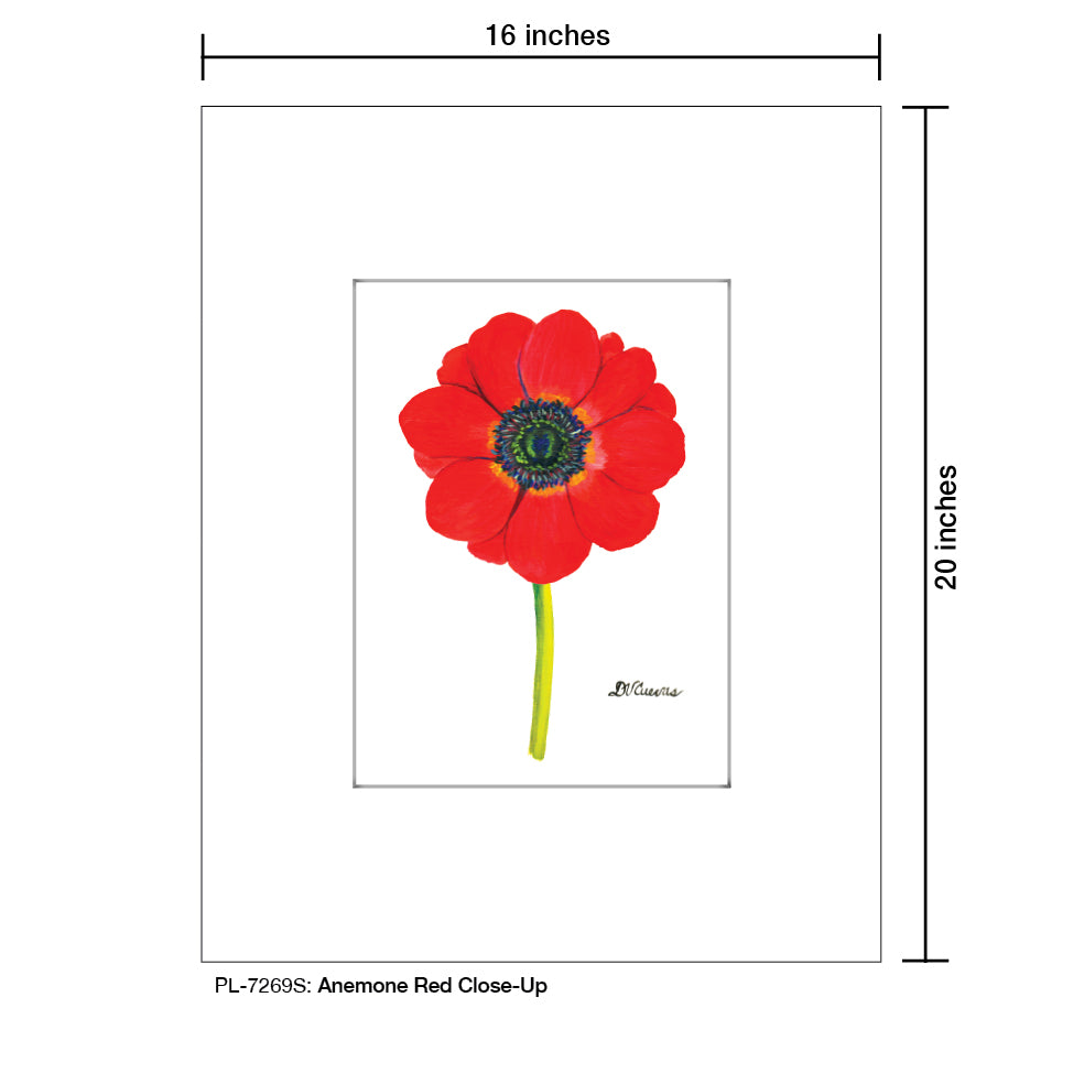 Anemone Red Close-Up, Print (#7269S) - Printed Canvas