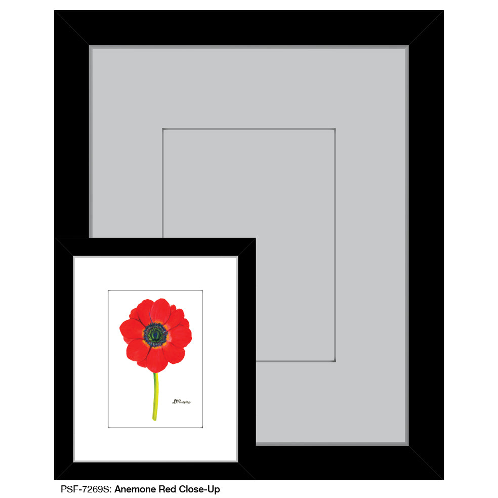 Anemone Red Close-Up, Print (#7269S) - Printed Canvas