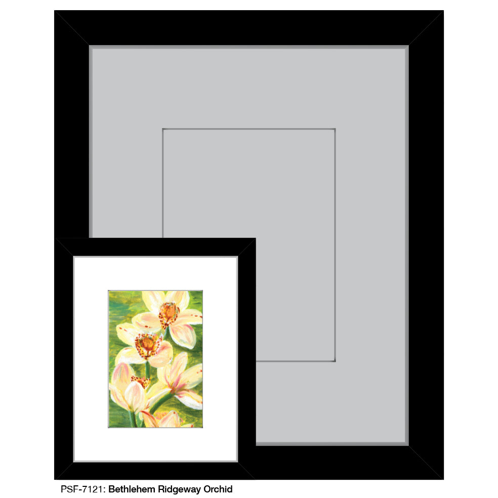 Bethlehem Ridgeway Orchid, Print (#7121) - Printed Canvas