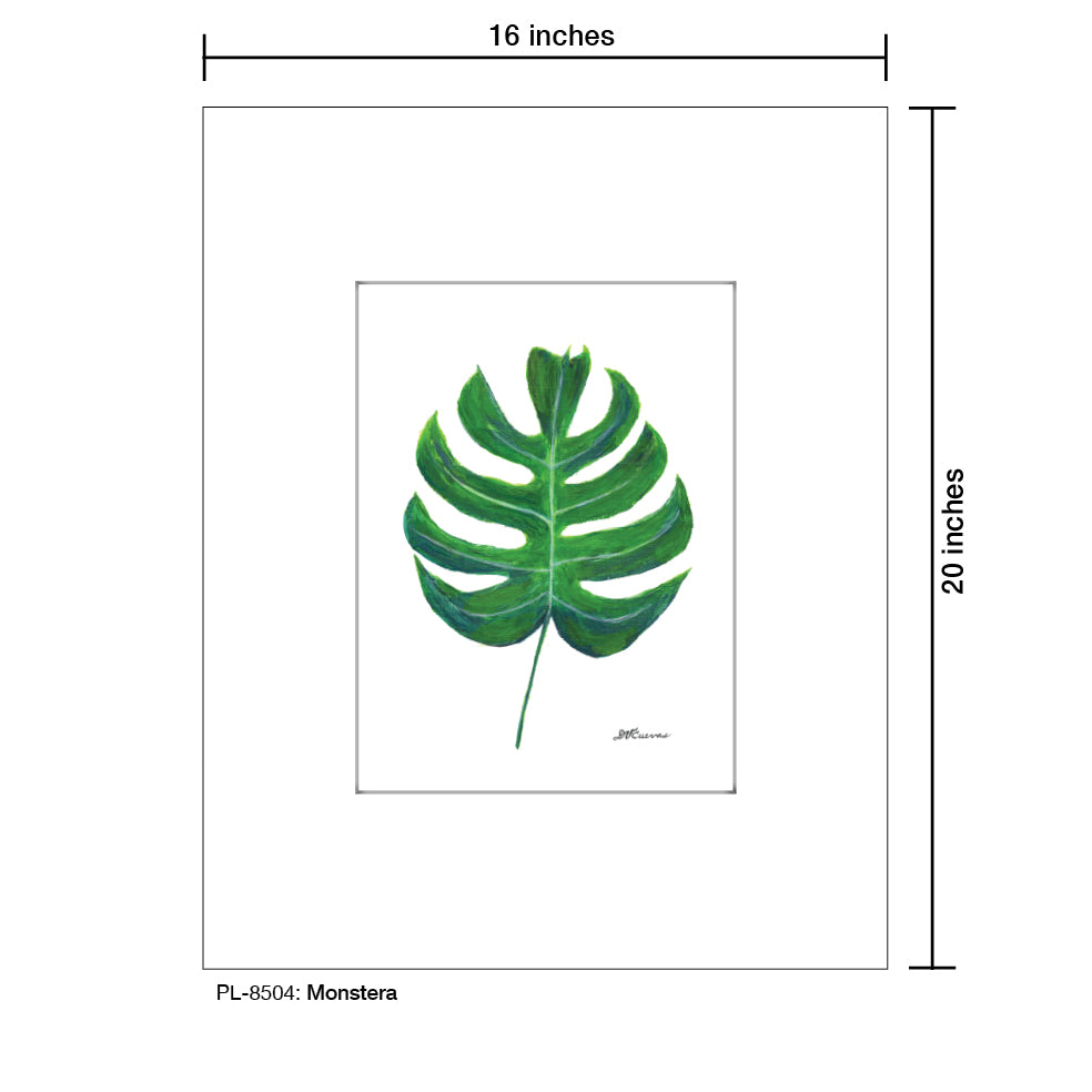 Monstera, Print (#8504) - Printed Canvas