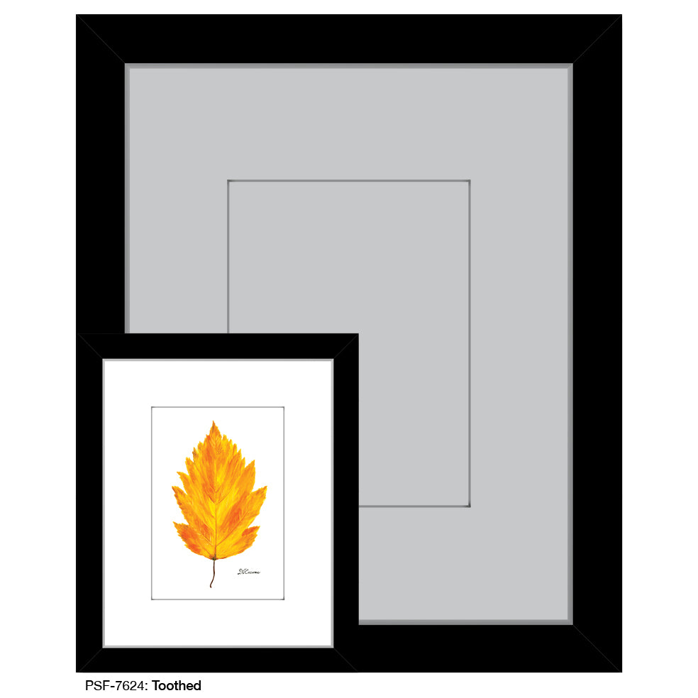 Toothed, Print (#7624) - Printed Canvas