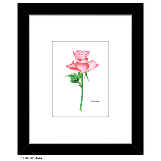 Rosa, Print (#8498B), Print Matted, www.printedcanvas.com