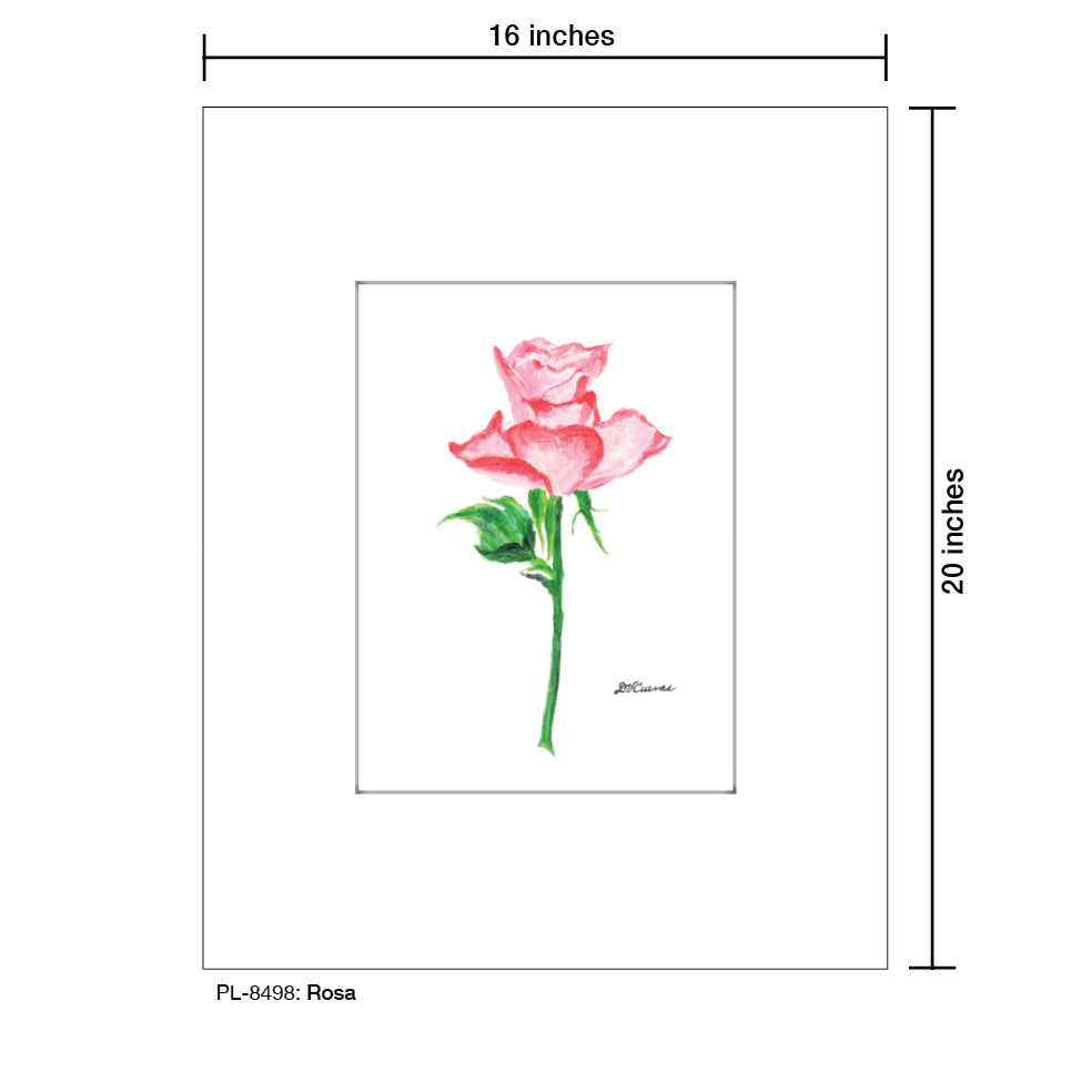 Rosa, Print (#8498B), Printe Matted, www.printedcanvas.com