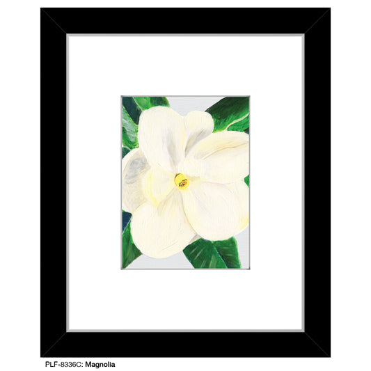 Magnolia, Print (#8336C), Print Matted, www.printedcanvas.com