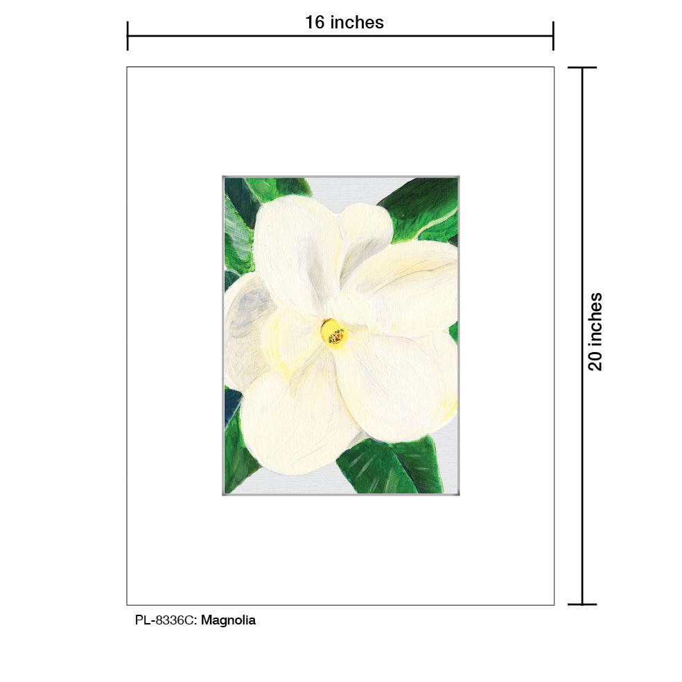 Magnolia, Print (#8336C), Printe Matted, www.printedcanvas.com