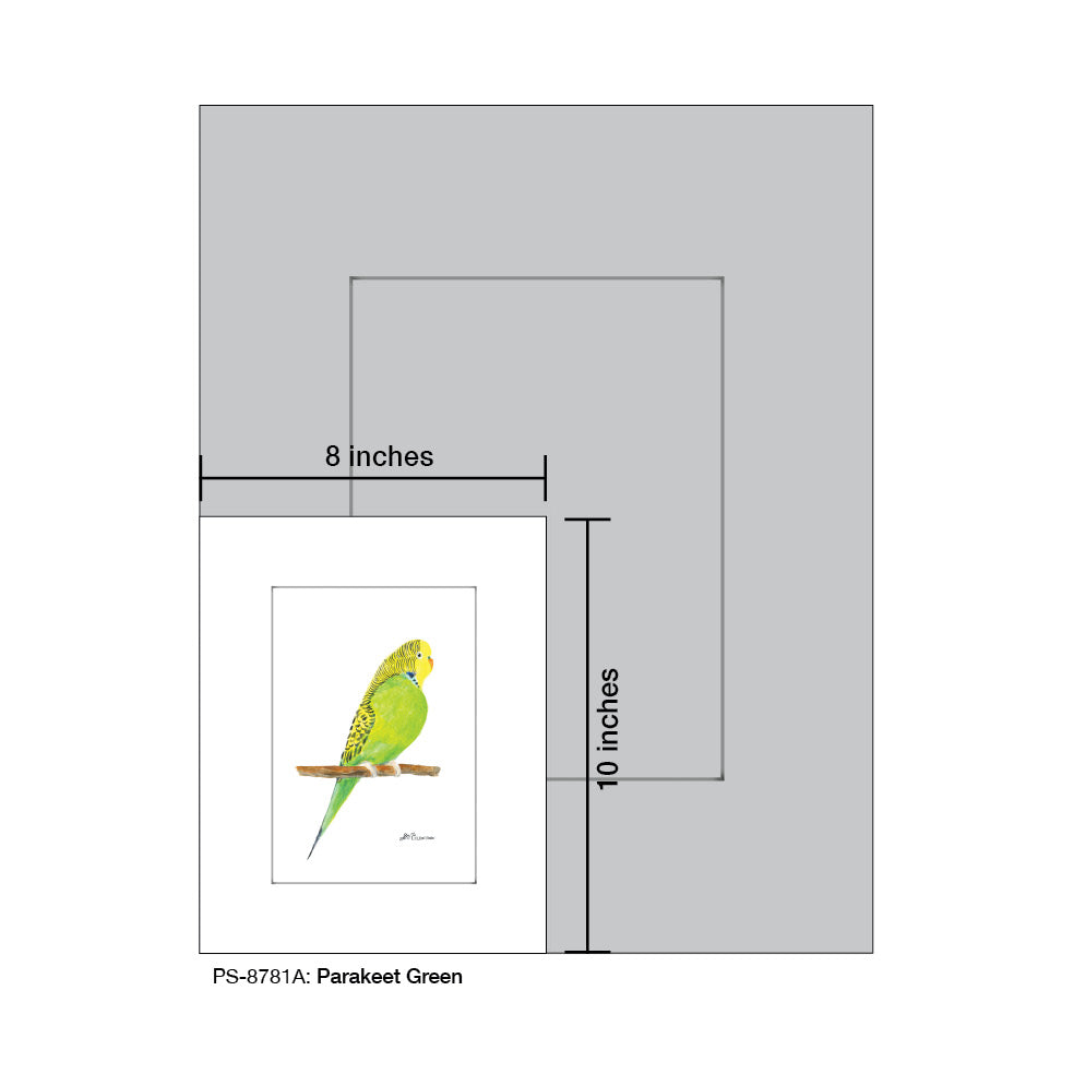 Parakeet Green, Print (#8781A), Print Matted, www.printedcanvas.com