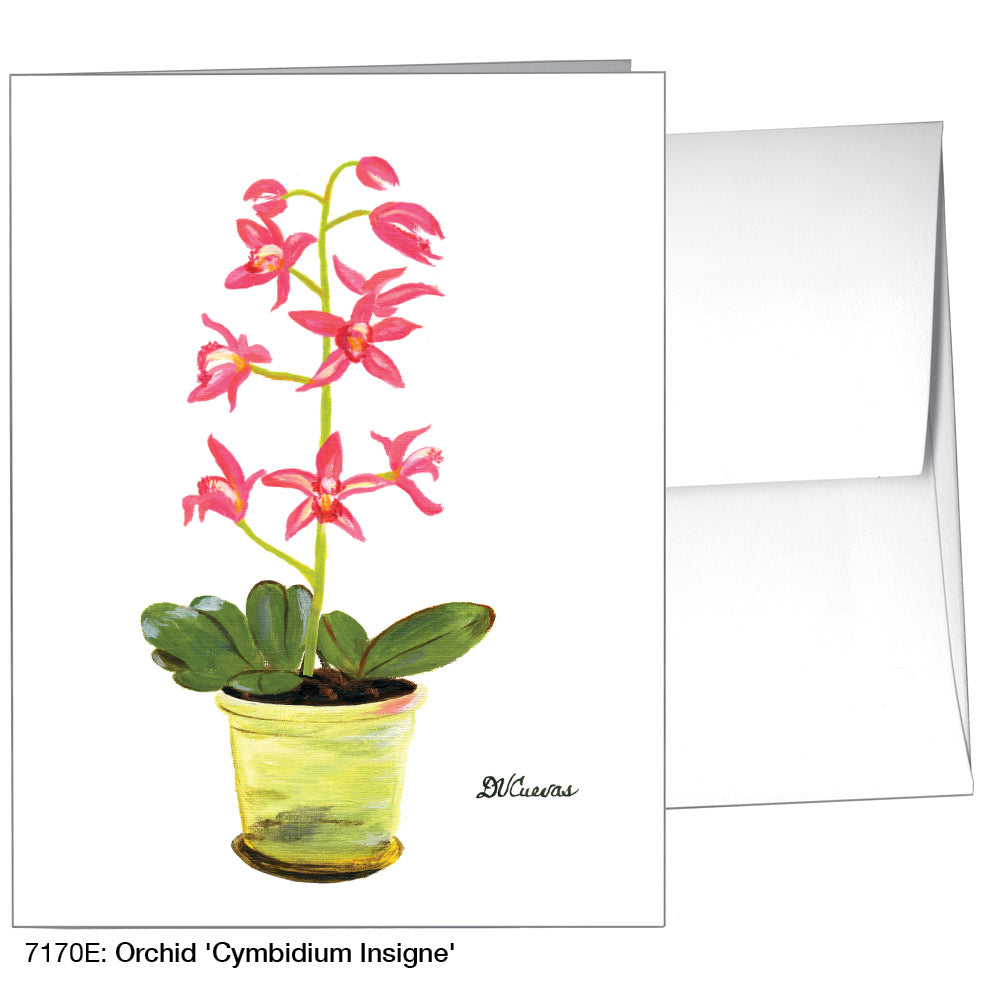 Orchid 'Cymbidium Insigne', Greeting Card (7170E), A2, printedcanvas.com