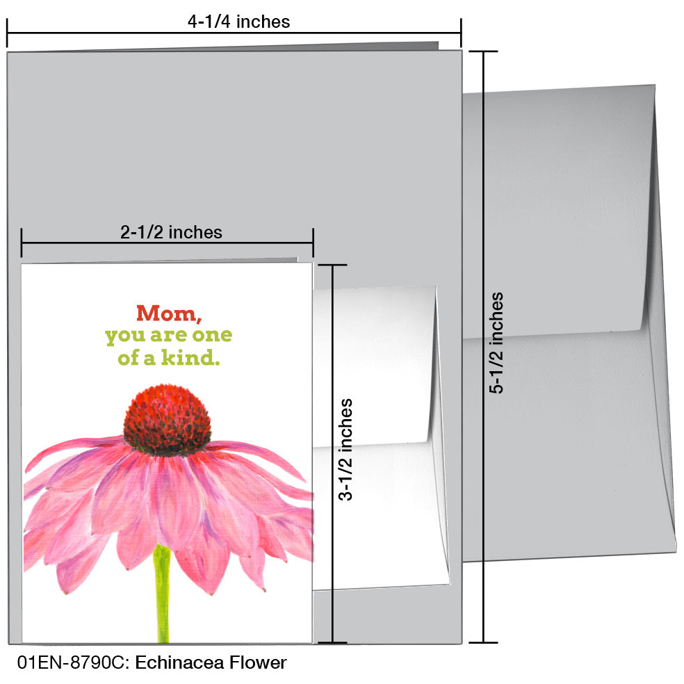 Echinacea Flower, Greeting Card (8790C), Enclosure, www.printedcanvas.com