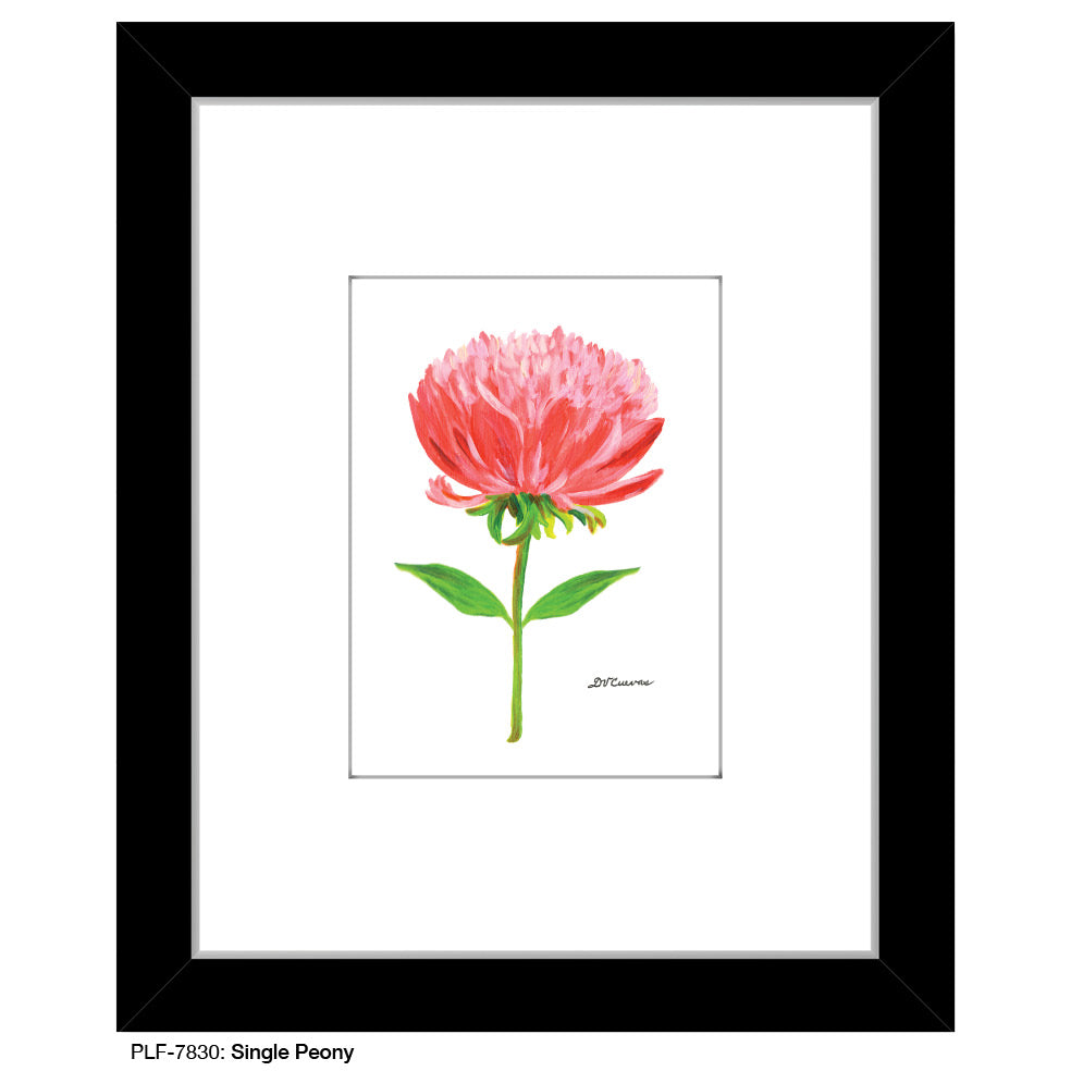 Single Peony, Print (#7830A), Print Matted, www.printedcanvas.com