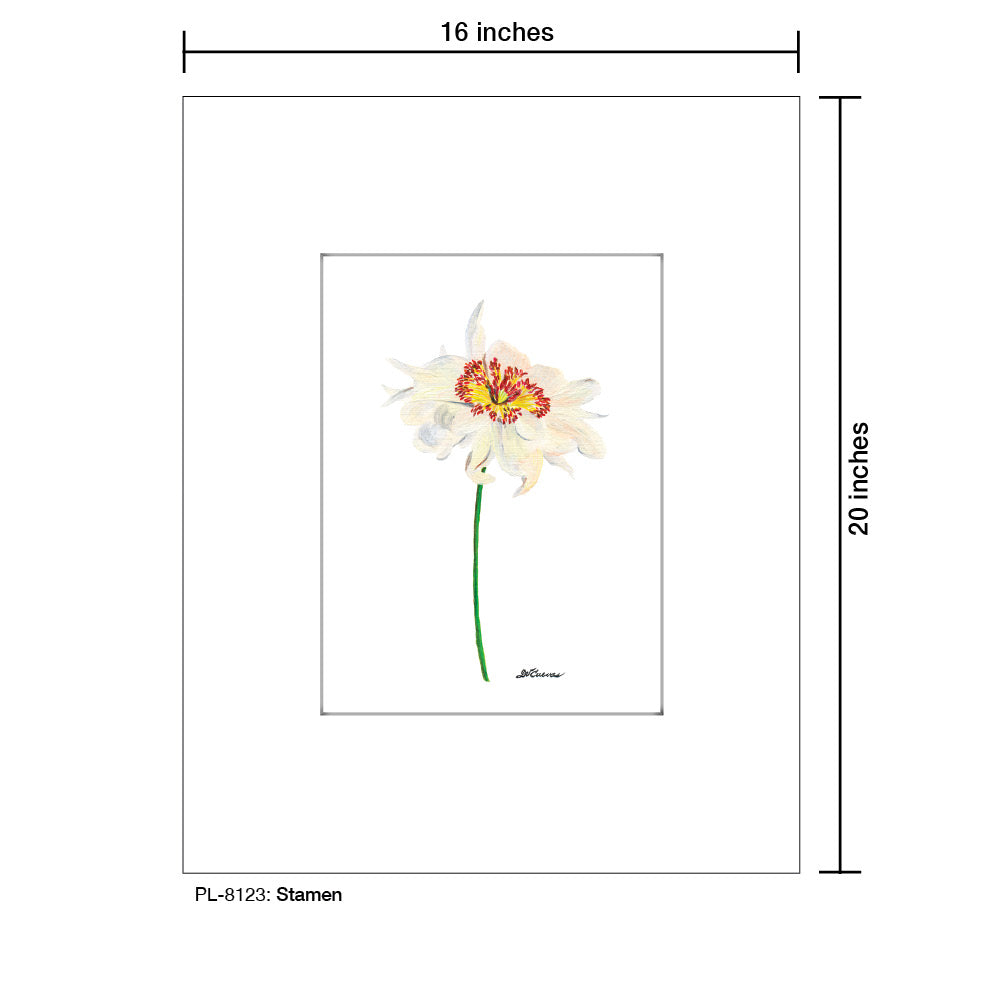 Stamen, Print (#8123C), Printe Matted, www.printedcanvas.com
