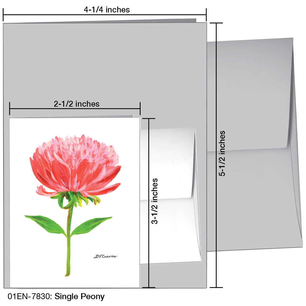 Single Peony, Greeting Card (7830A), Enclosure, www.printedcanvas.com