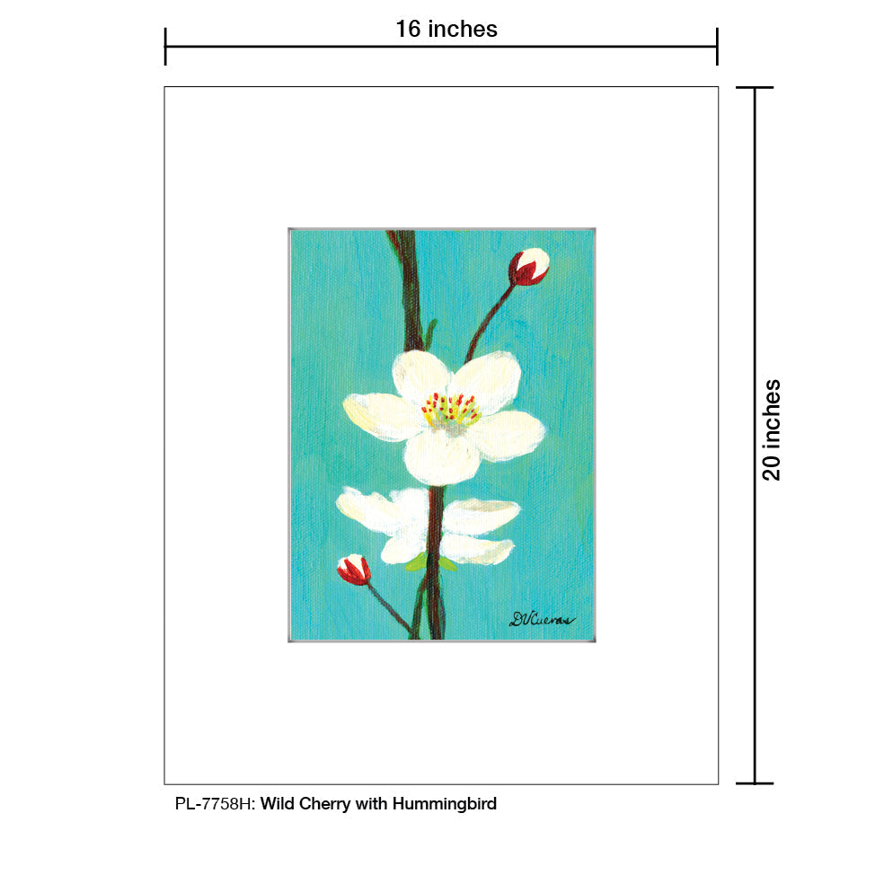 Wild Cherry with Hummingbird, Print (#7758H), Printe Matted, www.printedcanvas.com