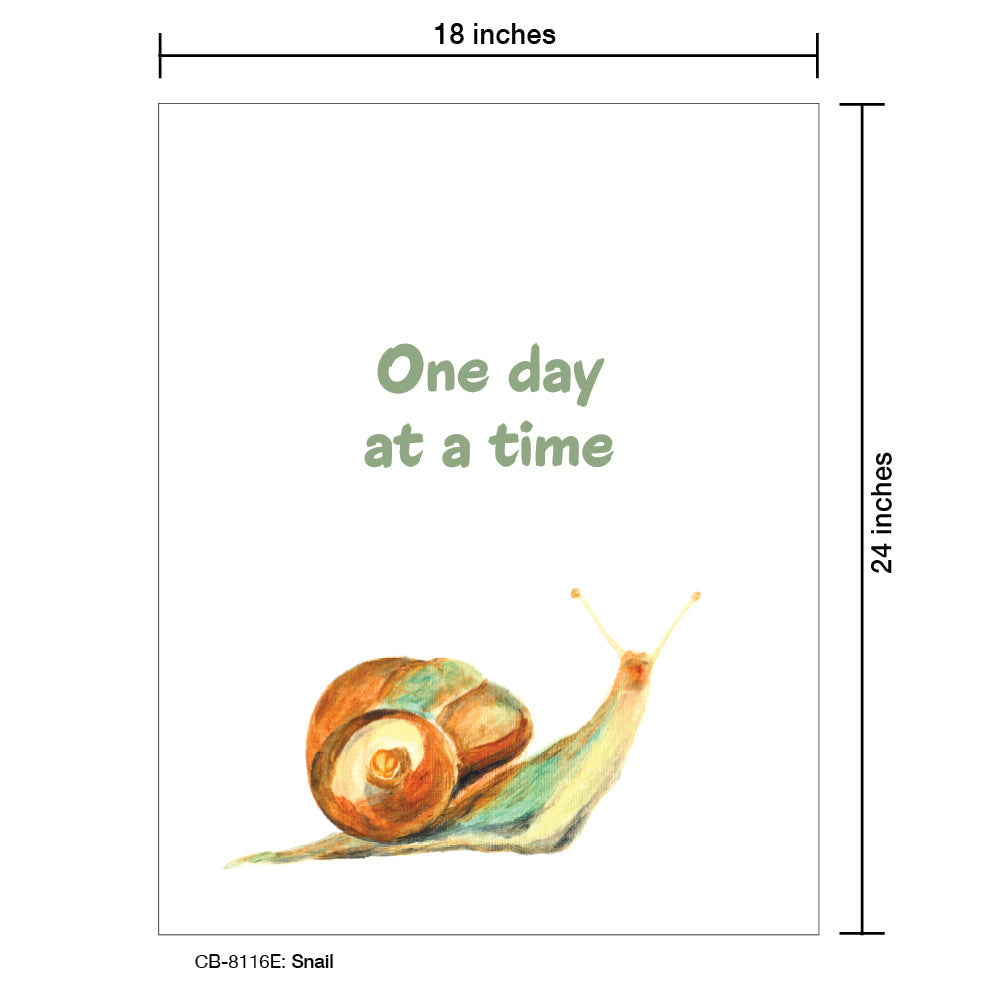 Snail, Card Board (8116E), Card Board: 18x24, printedcanvas.com