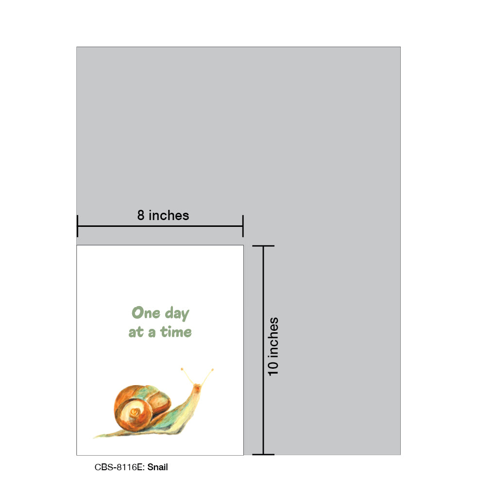 Snail, Card Board (8116E), Card Board: 8x10, printedcanvas.com