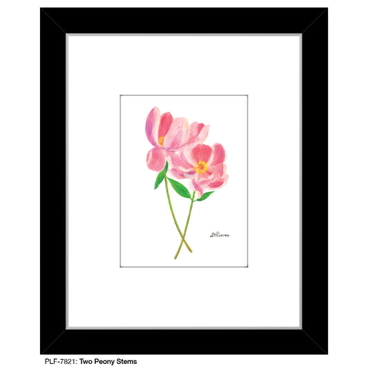 Two Peony Stems, Print (#7821A), Print Matted, www.printedcanvas.com