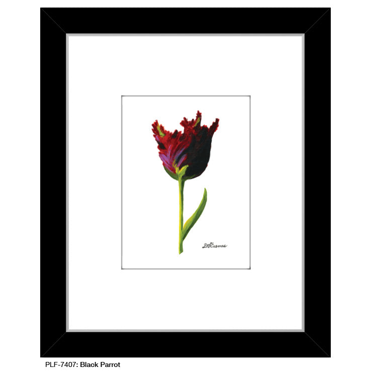 Black Parrot, Print (#7407A), Print Matted, www.printedcanvas.com