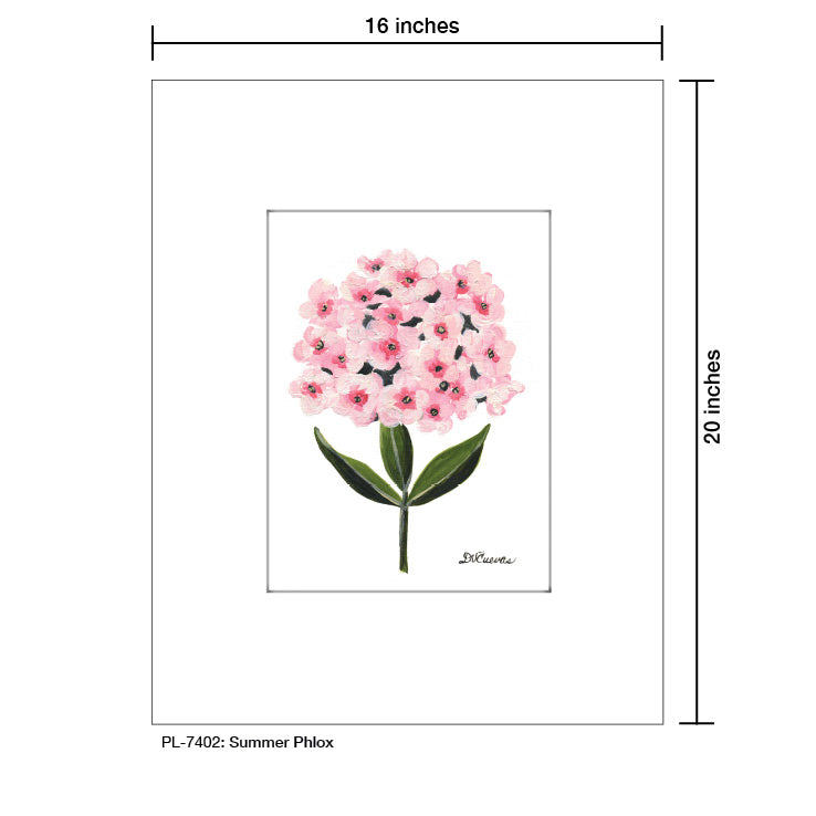 Summer Phlox, Print (#7402A)