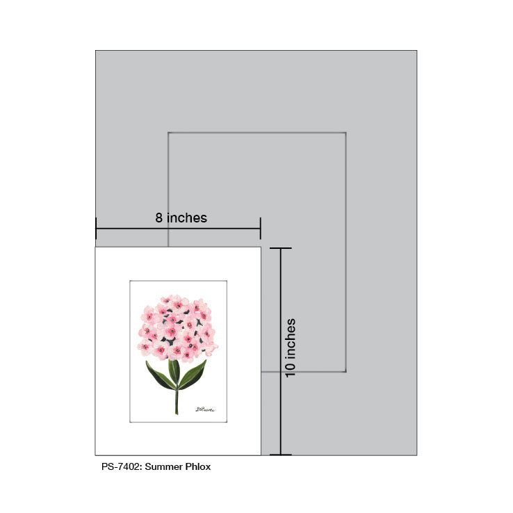 Summer Phlox, Print (#7402A)