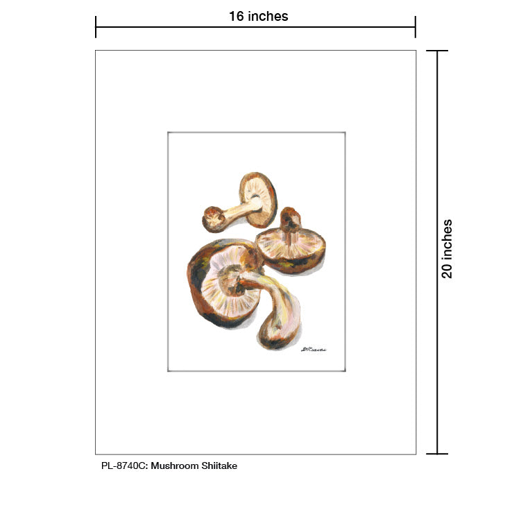 Mushroom Shiitake, Print (#8740C), Printe Matted, www.printedcanvas.com
