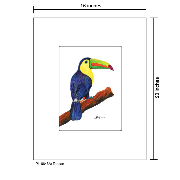 Toucan, Print (#8643C)
