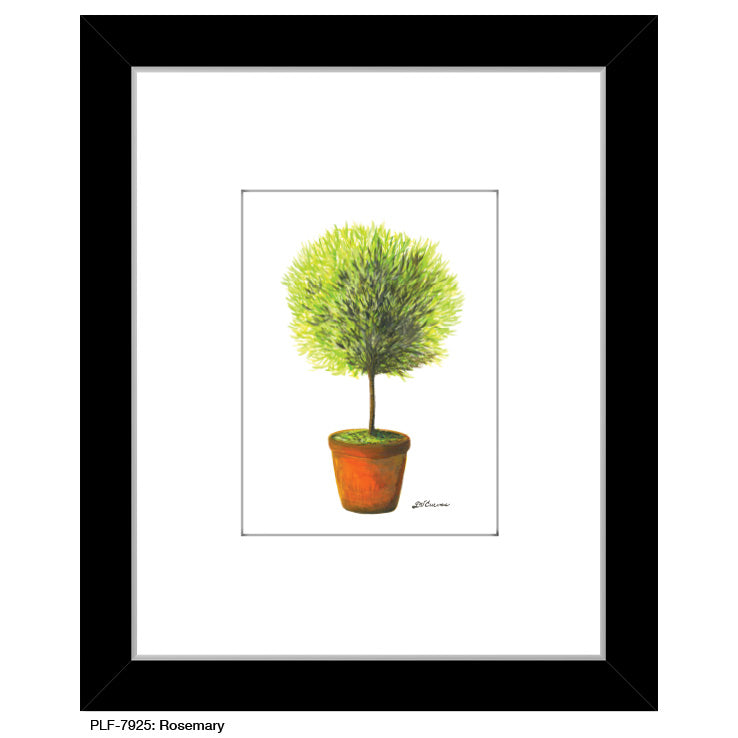 Rosemary, Print (#7925A), Print Matted, www.printedcanvas.com