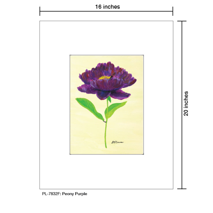 Peony Purple, Print (#7832F), Printe Matted, www.printedcanvas.com