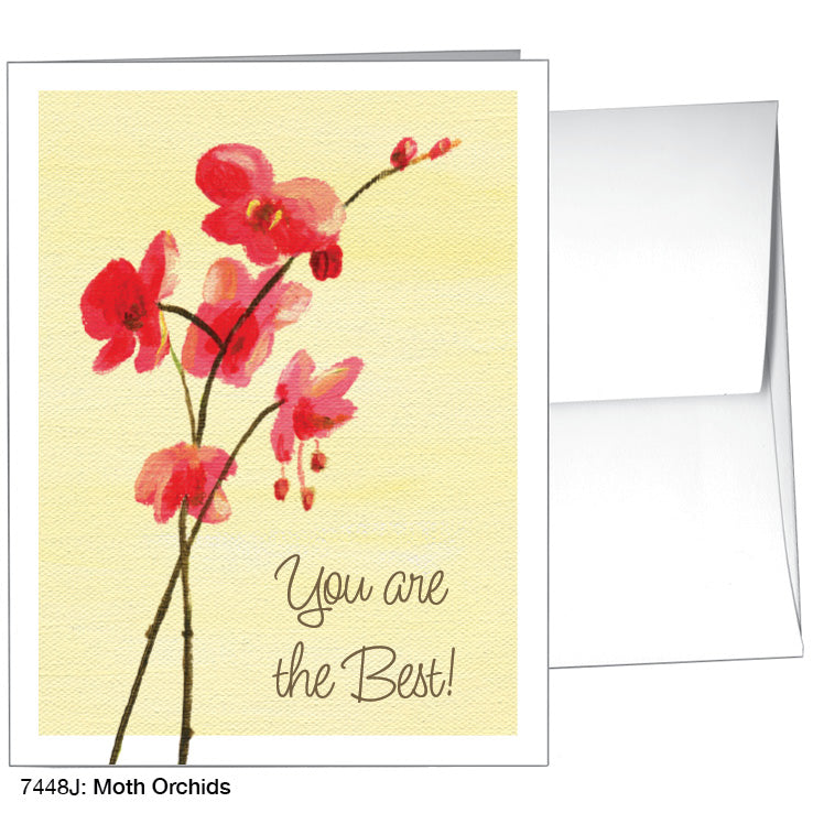 Moth Orchids, Greeting Card (7448J), A2, printedcanvas.com