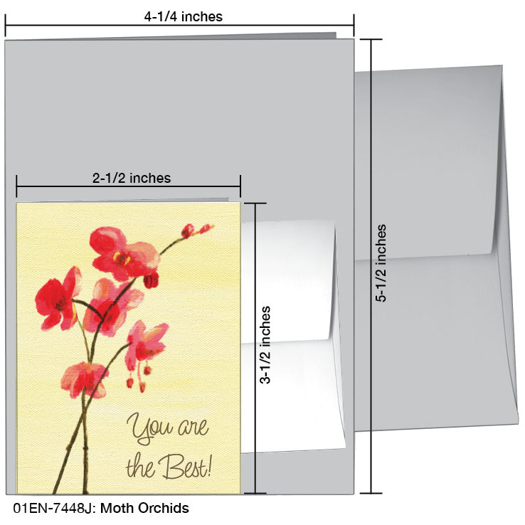 Moth Orchids, Greeting Card (7448J), Enclosure, printedcanvas.com