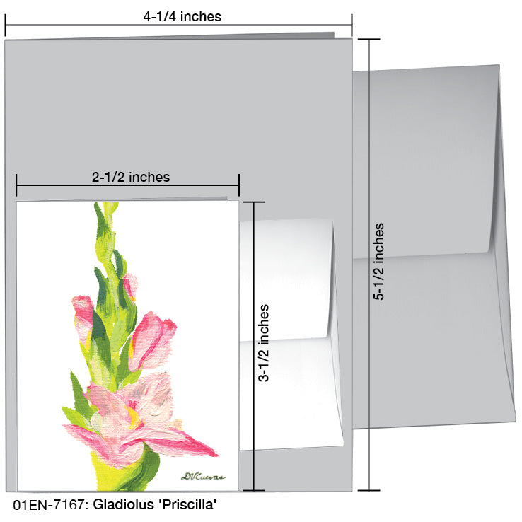 Gladiolus 'Priscilla', Greeting Card (7167A), Enclosure, www.printedcanvas.com