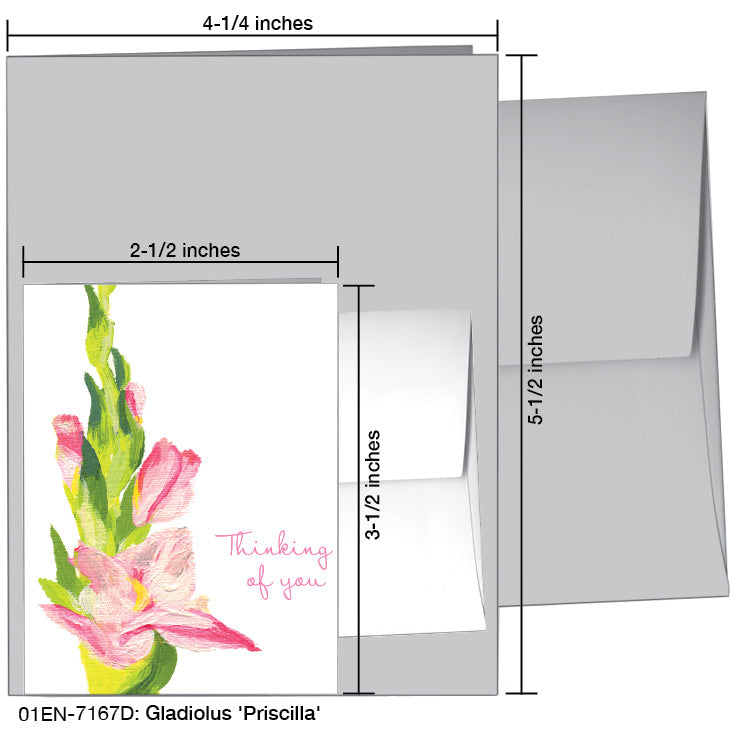 Gladiolus 'Priscilla', Greeting Card (7167D), Enclosure, www.printedcanvas.com