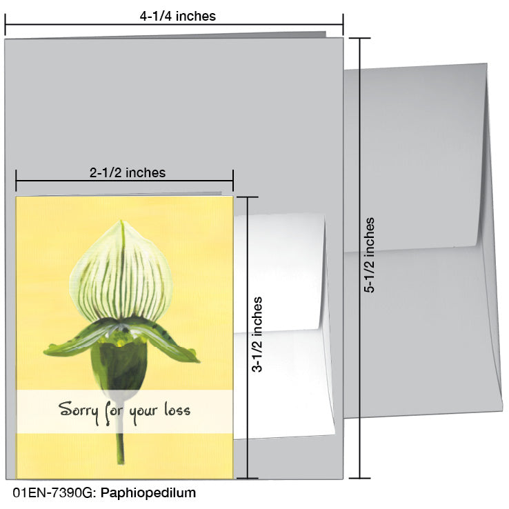 Paphiopedilum, Greeting Card (7390G), Enclosure, www.printedcanvas.com