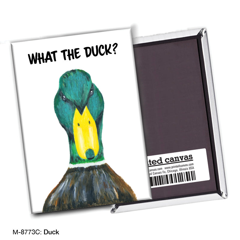 Duck, Magnet (M-8773C), front, printedcanvas.com