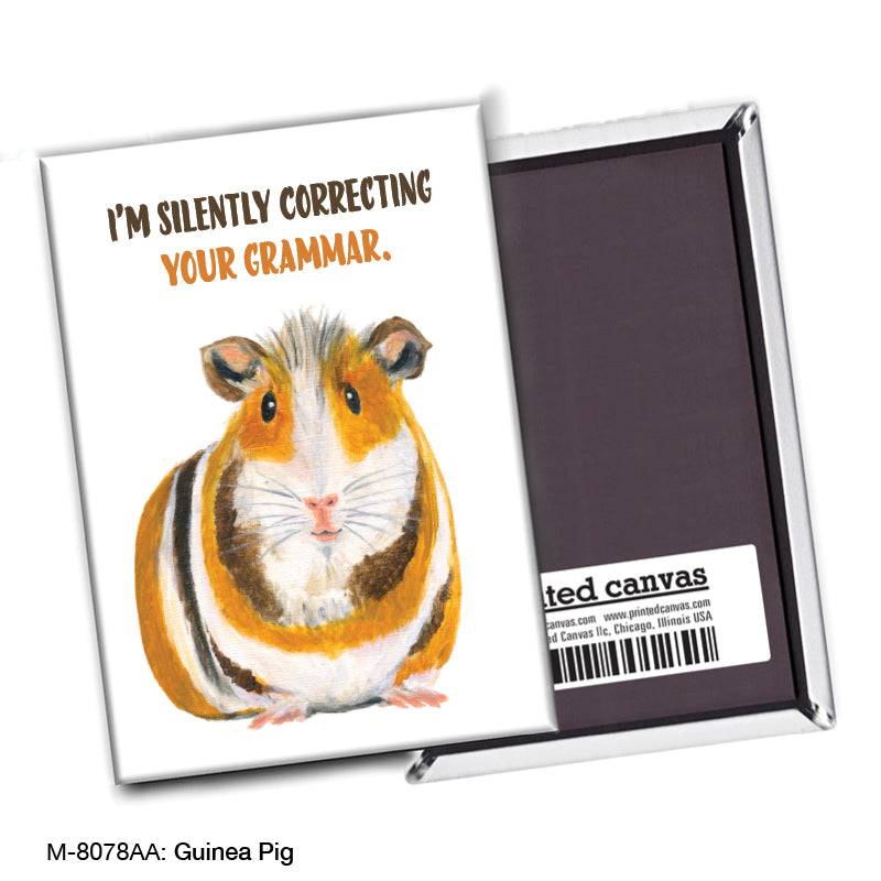 Guinea Pig, Magnet (M-8078AA), front, printedcanvas.com