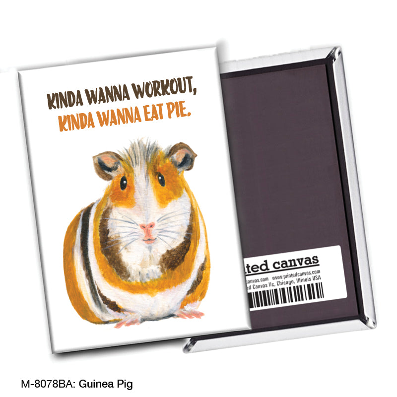 Guinea Pig, Magnet (M-8078BA), front, printedcanvas.com
