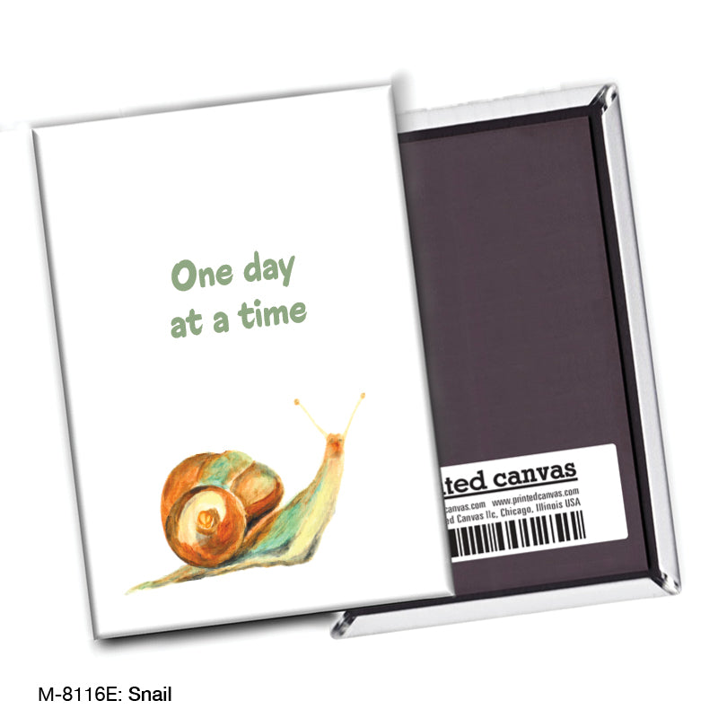Snail, Magnet (M-8116E), front, printedcanvas.com