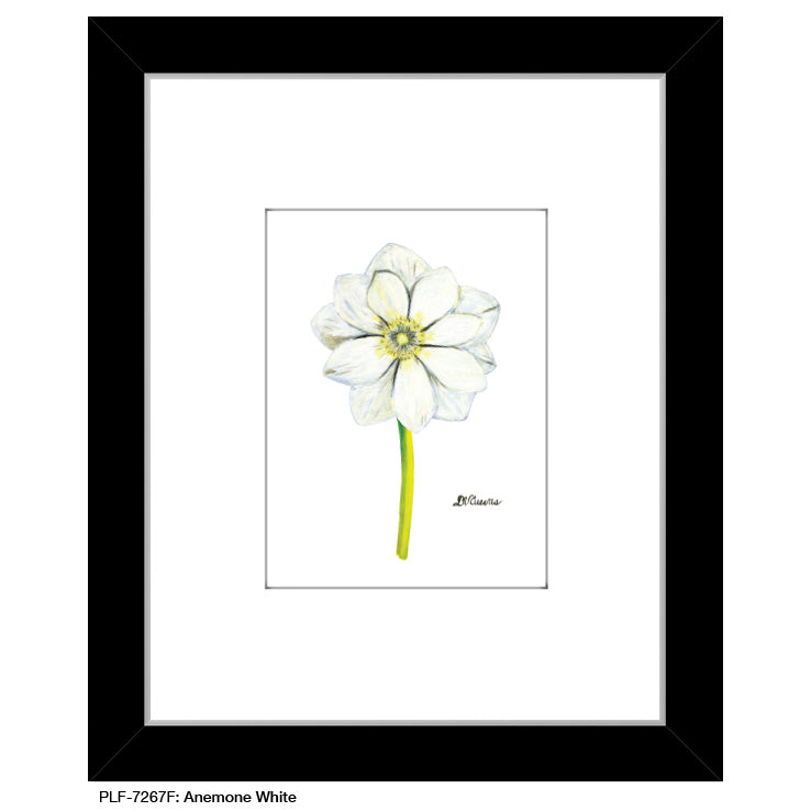 Anemone White, Print (#7267F) - Printed Canvas
