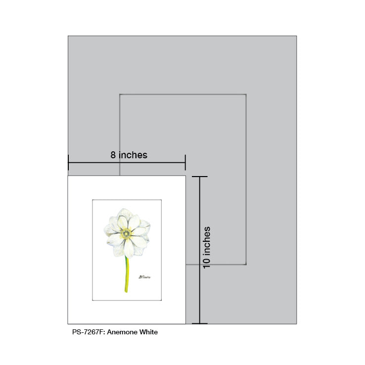 Anemone White, Print (#7267F) - Printed Canvas