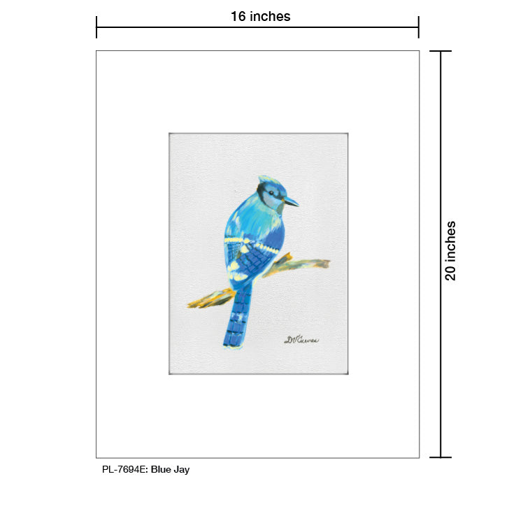 Blue Jay, Print (#7694E), Printe Matted, www.printedcanvas.com