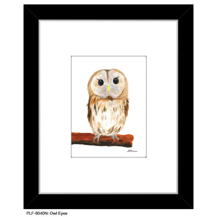 Owl Eyes, Print (#8040N), Print Matted, www.printedcanvas.com