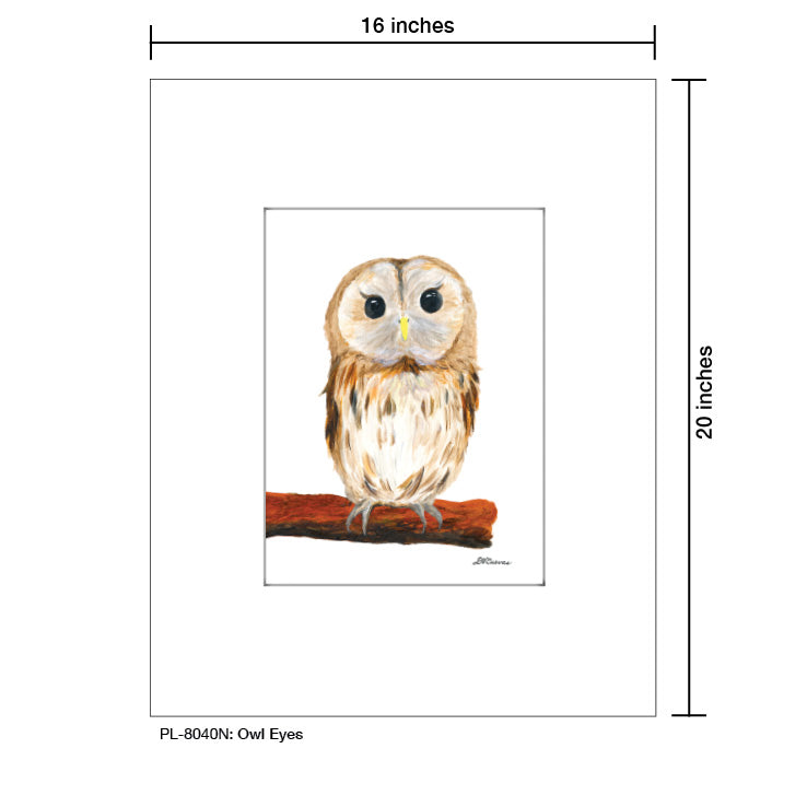 Owl Eyes, Print (#8040N), Printe Matted, www.printedcanvas.com