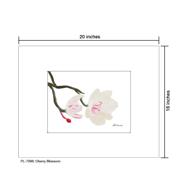 Cherry Blossom, Print (#7098A), Printe Matted, www.printedcanvas.com