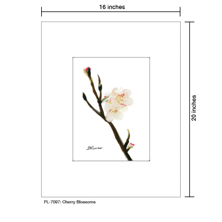 Cherry Blossoms, Print (#7097) - Printed Canvas