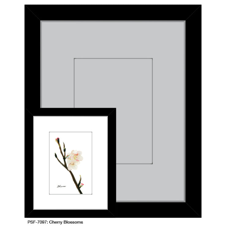 Cherry Blossoms, Print (#7097) - Printed Canvas