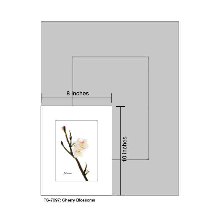 Cherry Blossoms, Print (#7097) - Printed Canvas